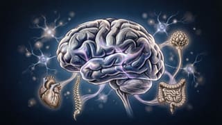 Глубинная психофизиология