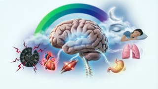 Тело знает лучше